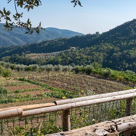 Villa Poggio Al Mandorlo Greve in Chianti Exterior foto