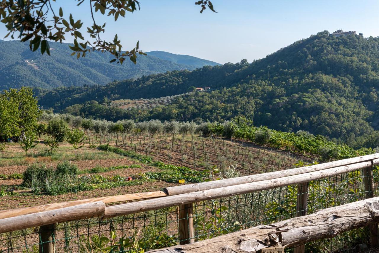 Villa Poggio Al Mandorlo Greve in Chianti Exterior foto